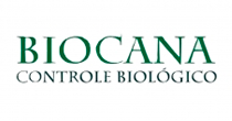 Biocana